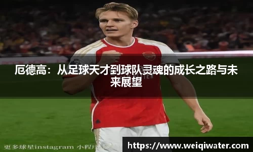 厄德高：从足球天才到球队灵魂的成长之路与未来展望
