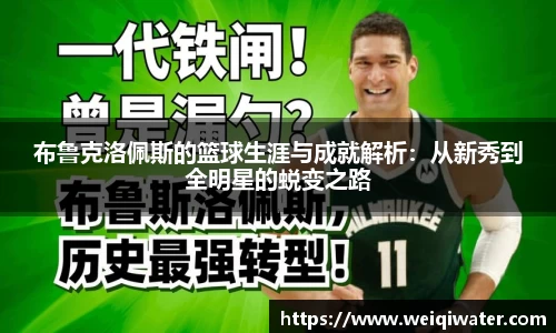 布鲁克洛佩斯的篮球生涯与成就解析：从新秀到全明星的蜕变之路