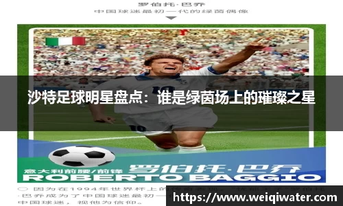 沙特足球明星盘点：谁是绿茵场上的璀璨之星