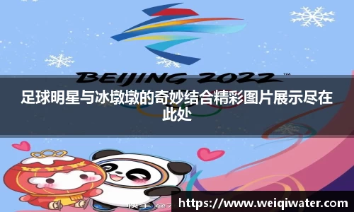 足球明星与冰墩墩的奇妙结合精彩图片展示尽在此处